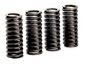 Valve Springs OEM Replacement